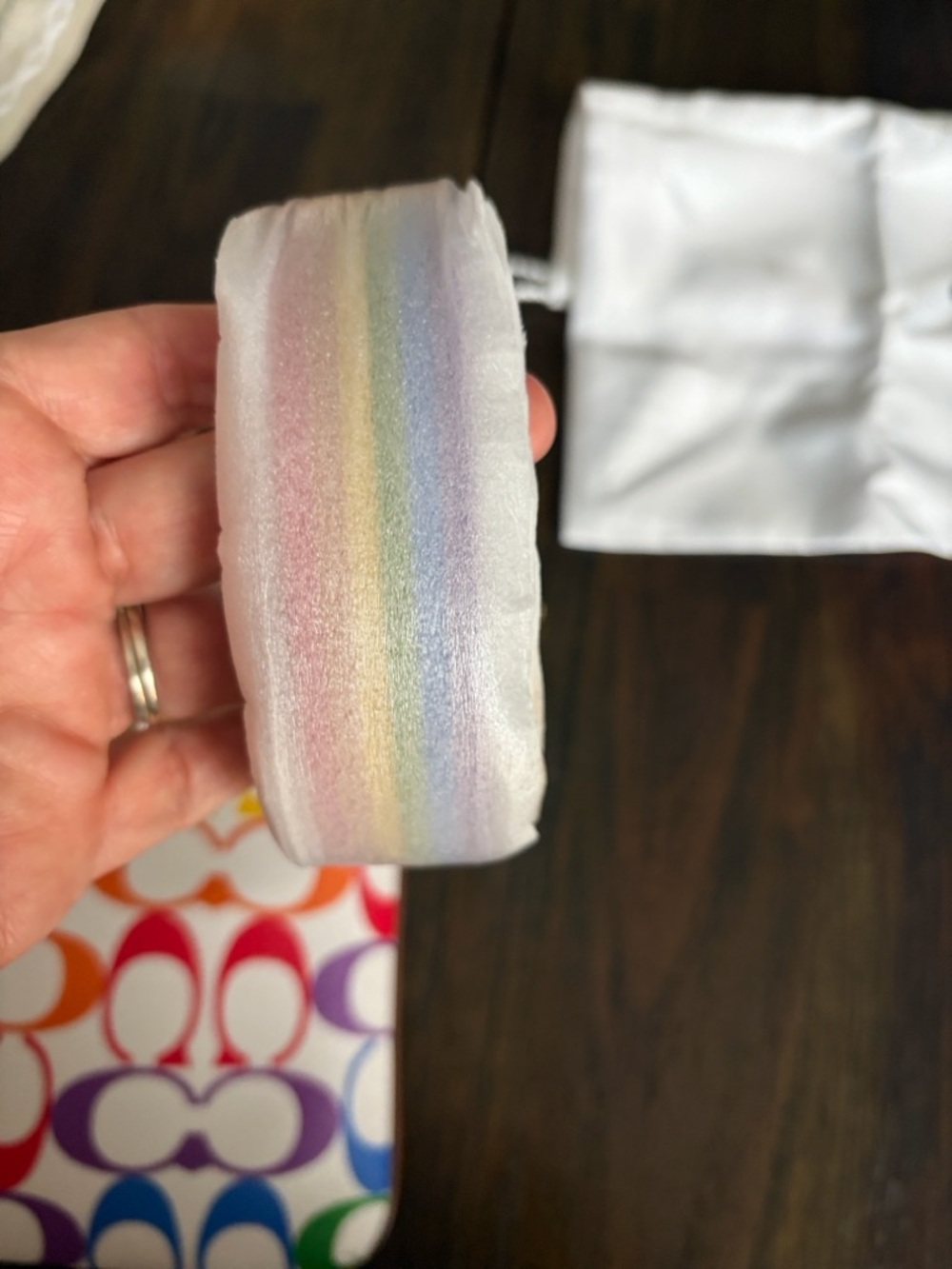 Coach Jes Rainbow 🌈 Collecton - Picture 9 of 15